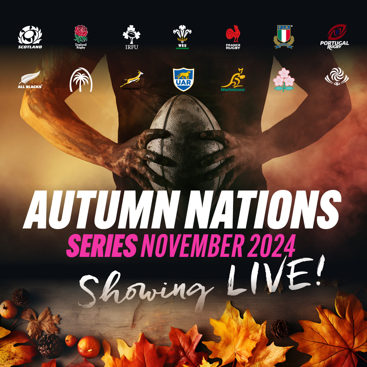 The Autumn Internationals